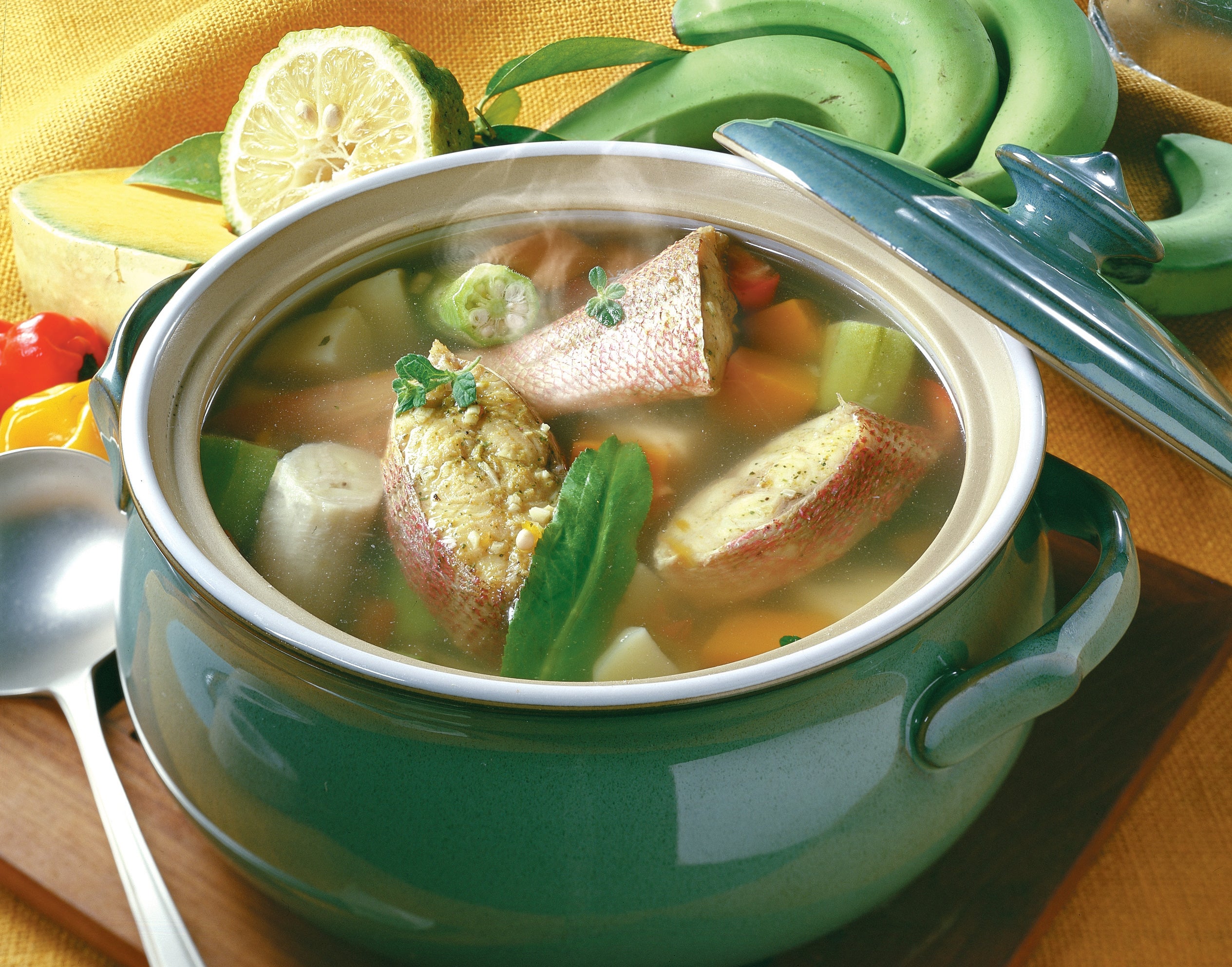 Fish Broth