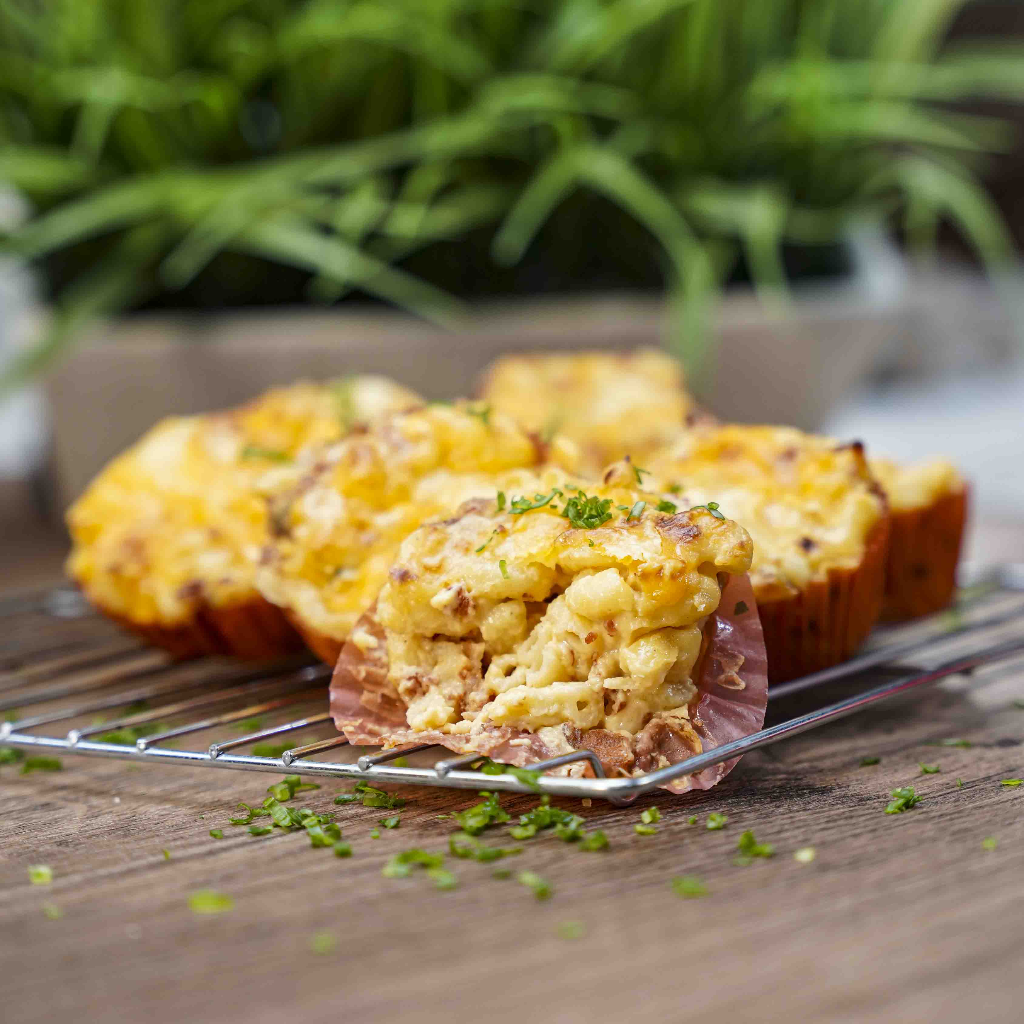 Mac n Cheese Cups