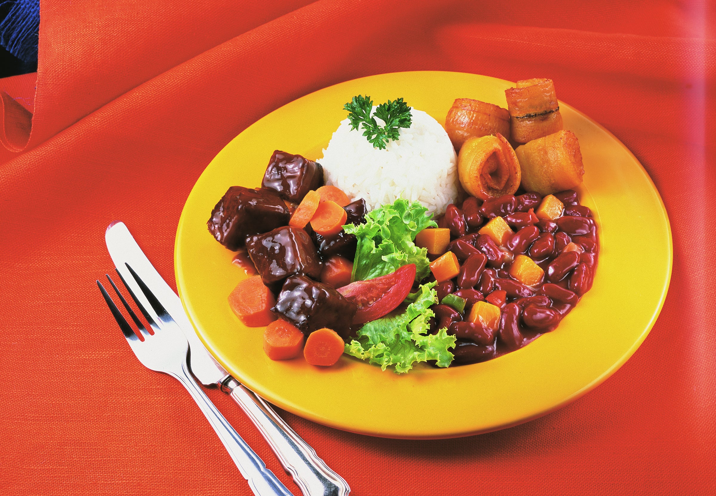 Stewed Beef