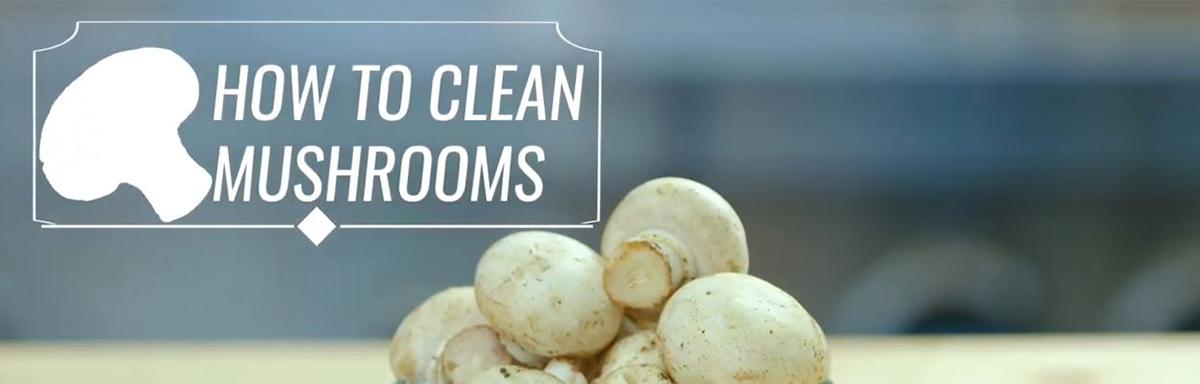 Banner for how to clean mushrooms