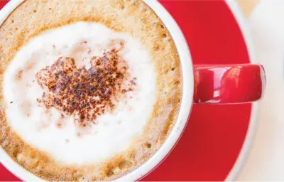 Mocha Mocha