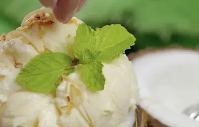 Coconut Ice Cream Coconut Ice Cream