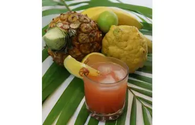 Tropical Rum Punch Tropical Rum Punch