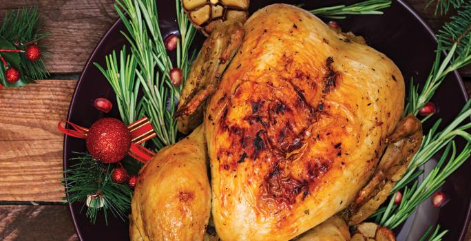 Holiday Turkey