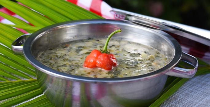 Pepperpot Soup